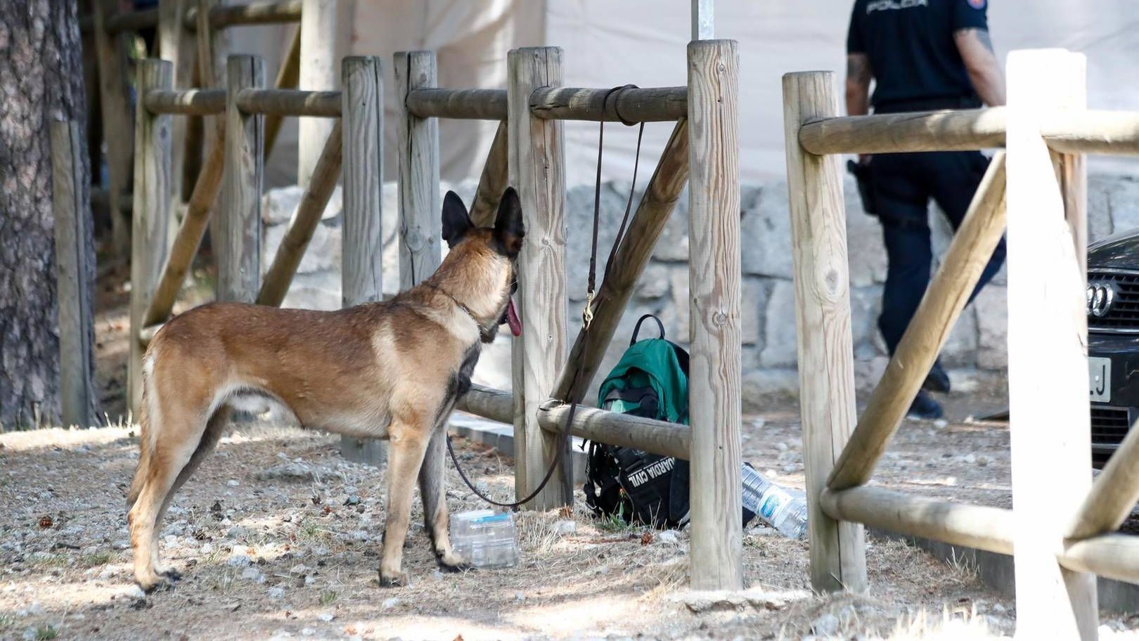 Un agente de la Guardia Civil y un perro de rastreo en Cercedilla. Foto: Europa Press