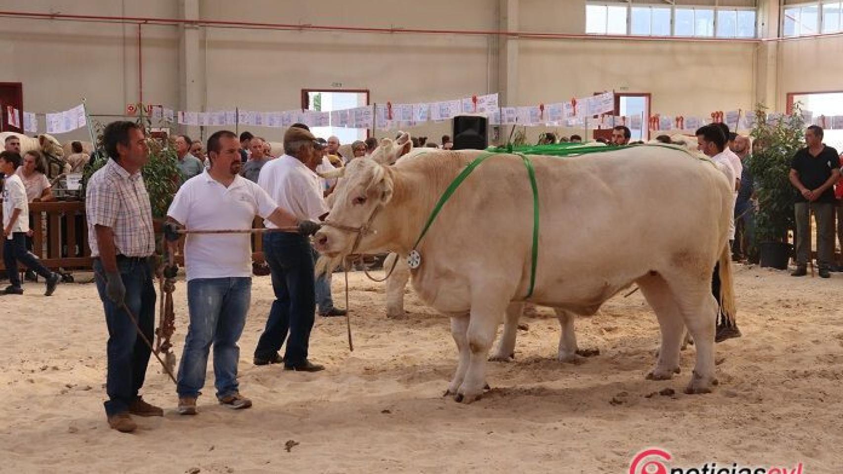 Castilla y León