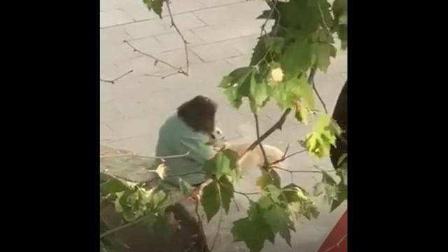 Captura del vídeo en el que se ve a la mujer pegando al animal.