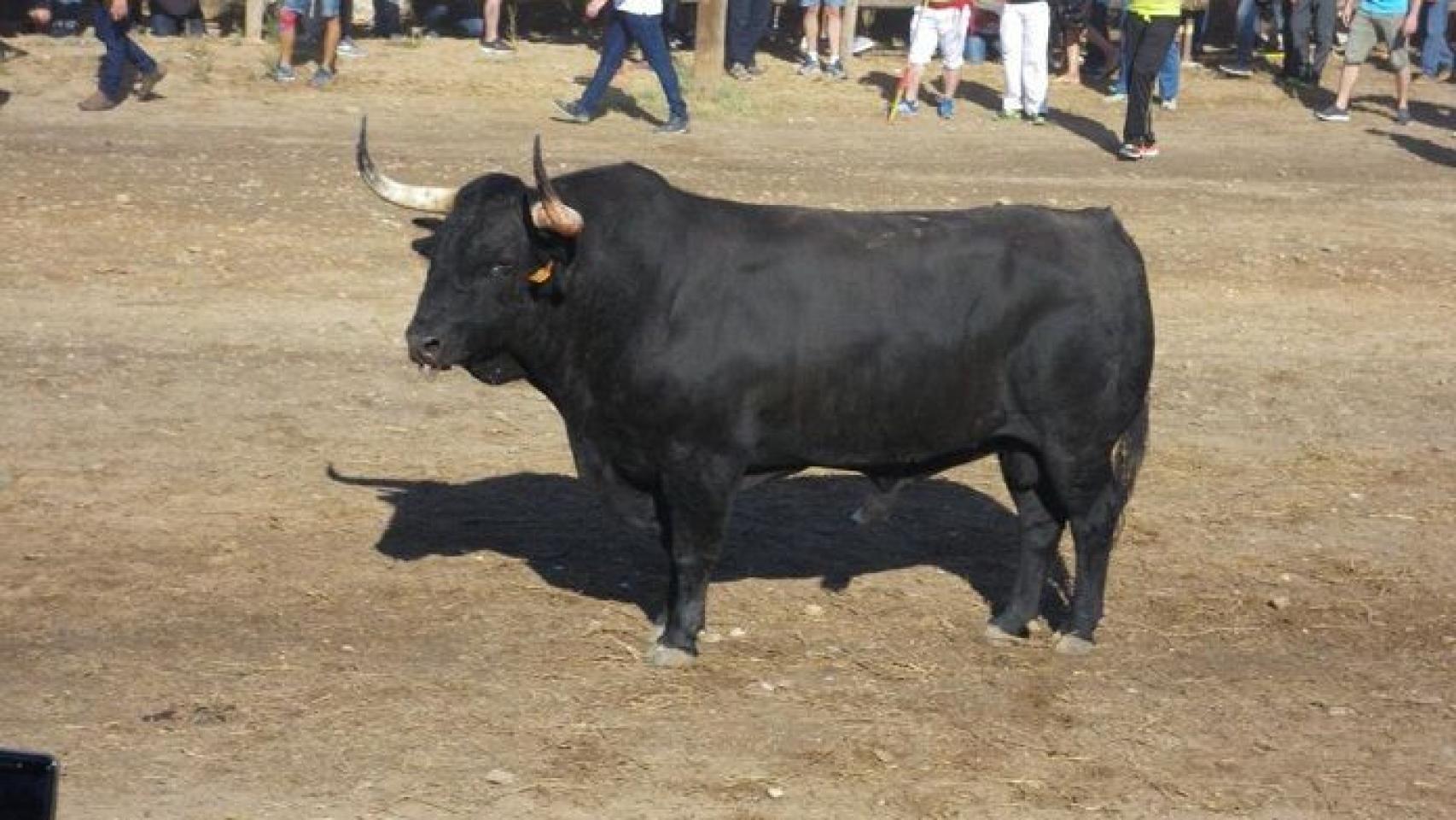 Castilla y León
