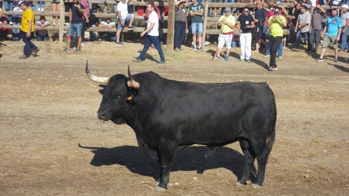 Castilla y León