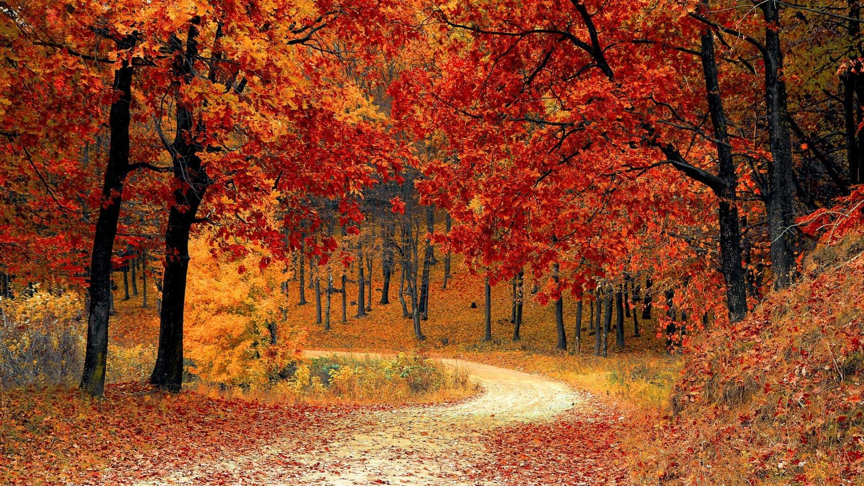 Otoño: por qué empieza el 23 de septiembre y cuándo se cambia la hora