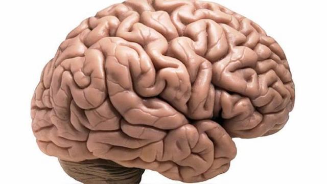 Golpe español al glioblastoma, el tumor cerebral más agresivo: hallado su talón de Aquiles