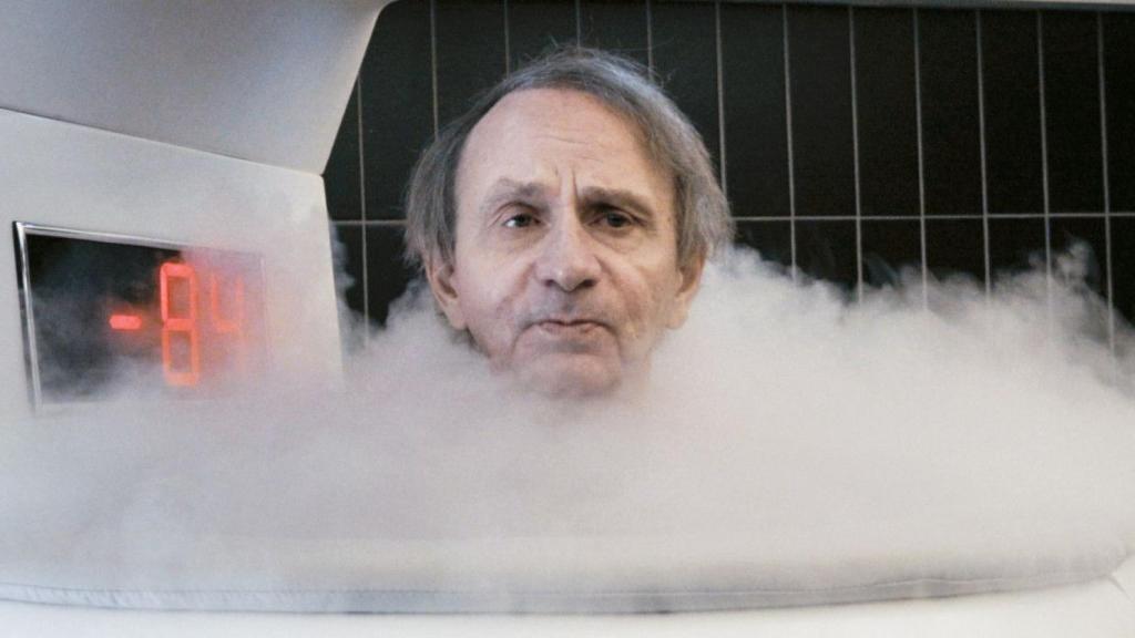 Houellebecq en Thalasso.