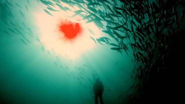 Lois Patiño expone en A Coruña: el mar, entre México y la Costa da Morte