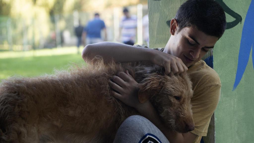 Biel Montoro en Diecisiete.