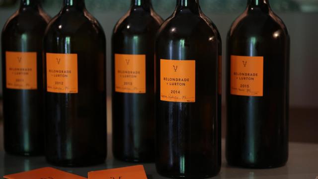 Belondrade, el vino de Rueda que traspasa fronteras.