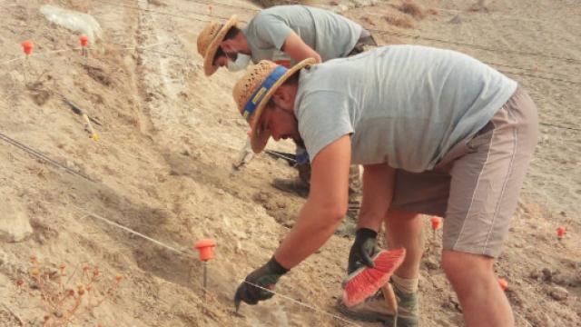 Proceso de excavación de Caraca.
