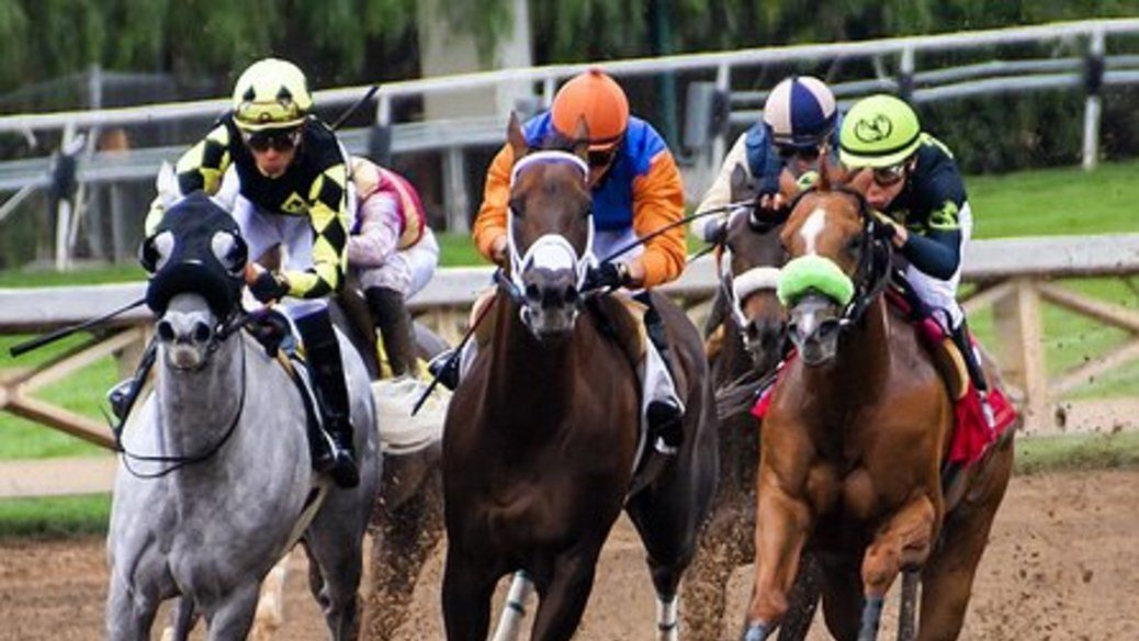 caballos