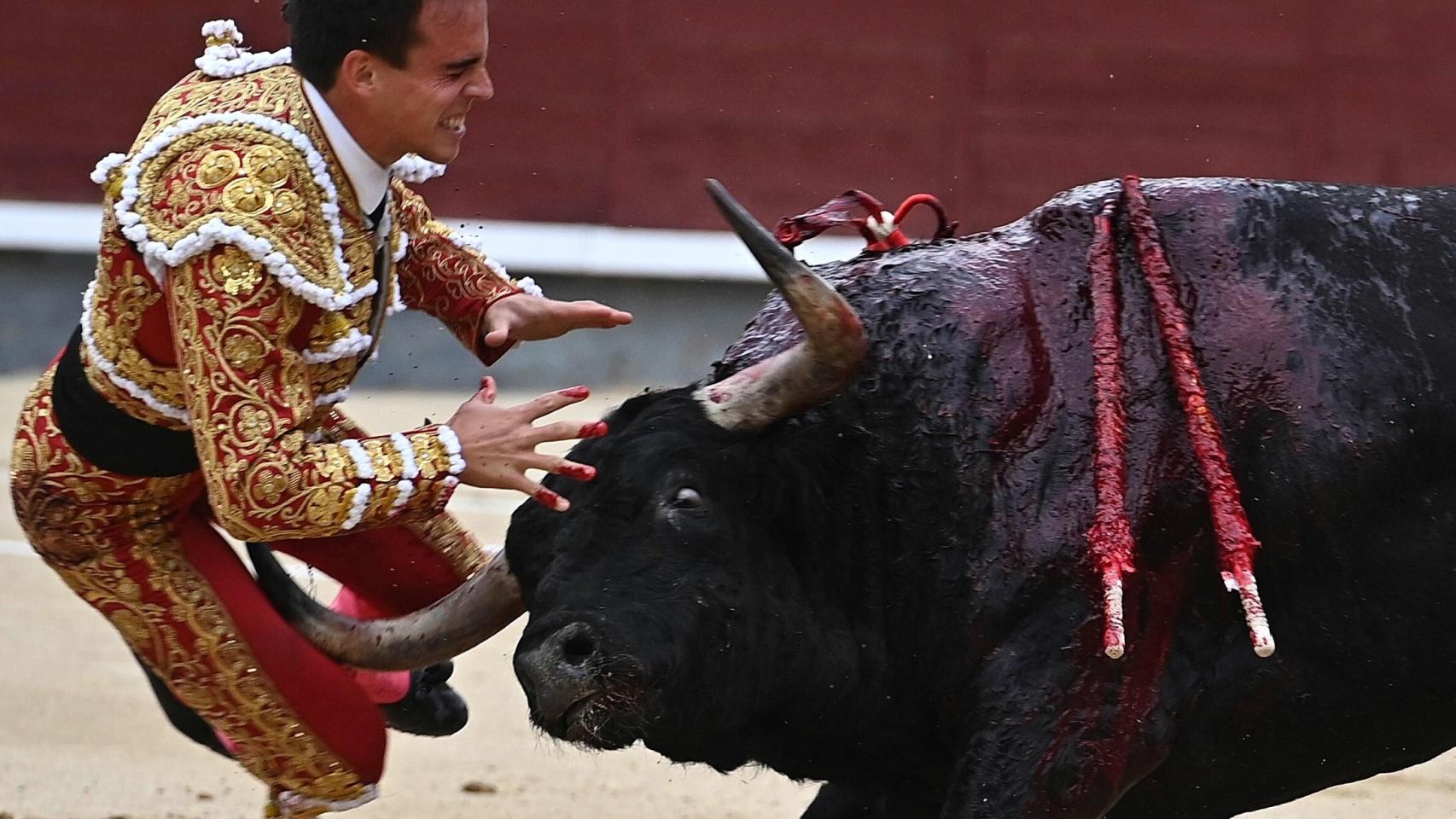 Gonzalo Caballero sufre una grave cornada.