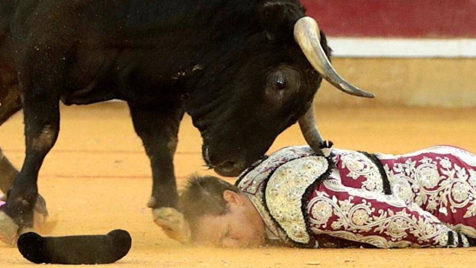 Impactante imagen de la cogida de Mariano de la Viña (Foto: Efe)