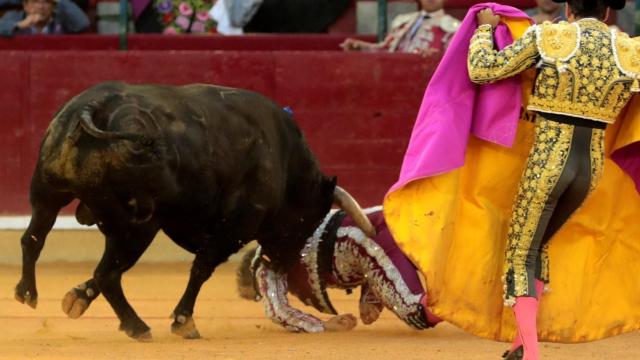 Enrique Ponce observa el instante en el que Mariano de la Viña es corneado por Sigiloso