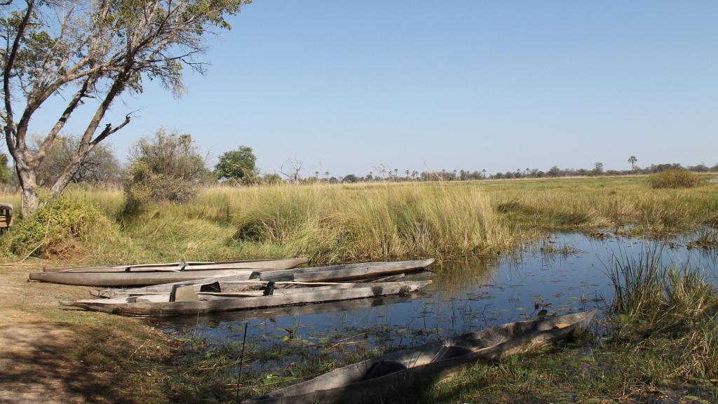 Delta del Okavango, donde el agua se sumerge en las arenas del desierto