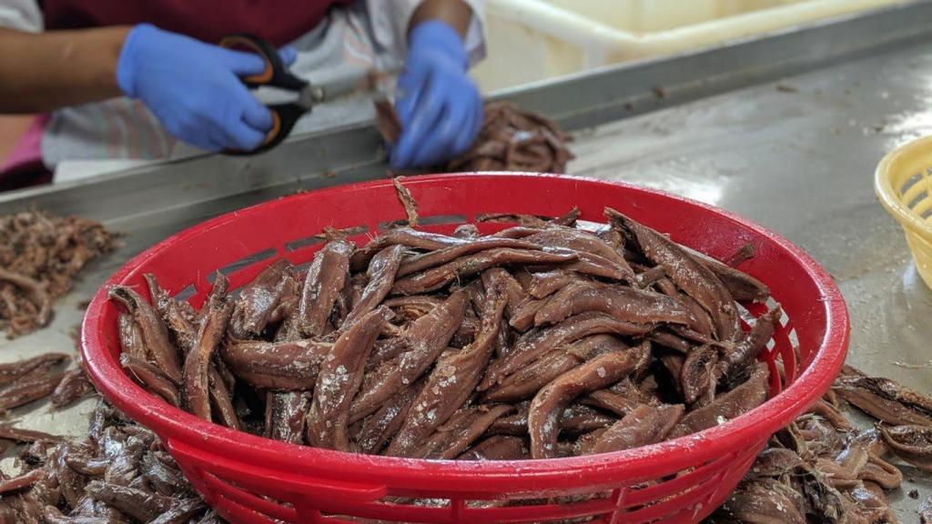 Proceso de conservación de las anchoas.