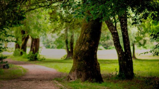 Un nuevo modelo constructivo para crear un barrio “multiecológico” en Lugo