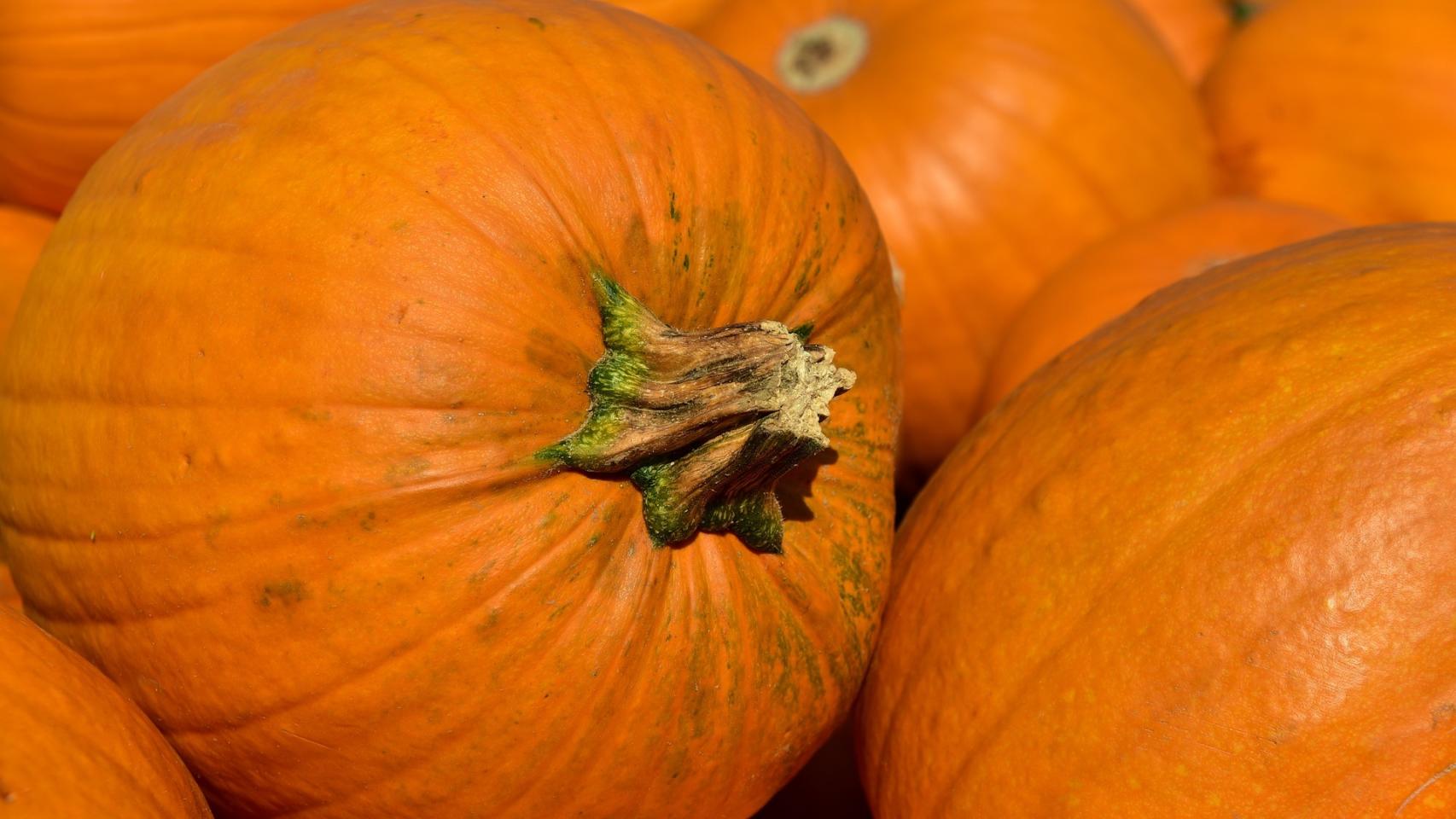 Unas hermosas calabazas de color naranja.