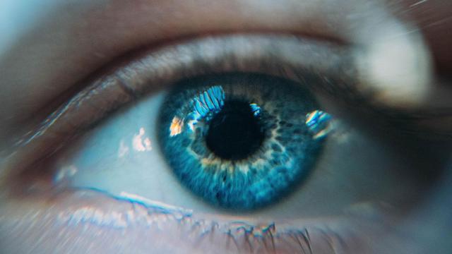 El negocio del reconocimiento del iris.