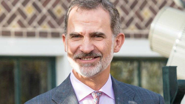 El Rey Felipe VI en una imagen de archivo