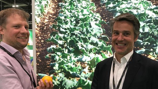 Vincent Rosso y Benoit Vandevivere, fundadores de Consentio.