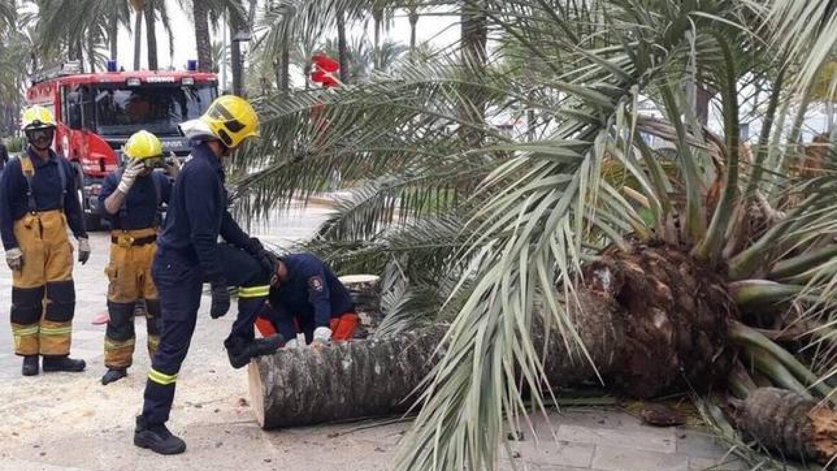 El SAMU 061 de Palma de Mallorca en una salida de emergencias.