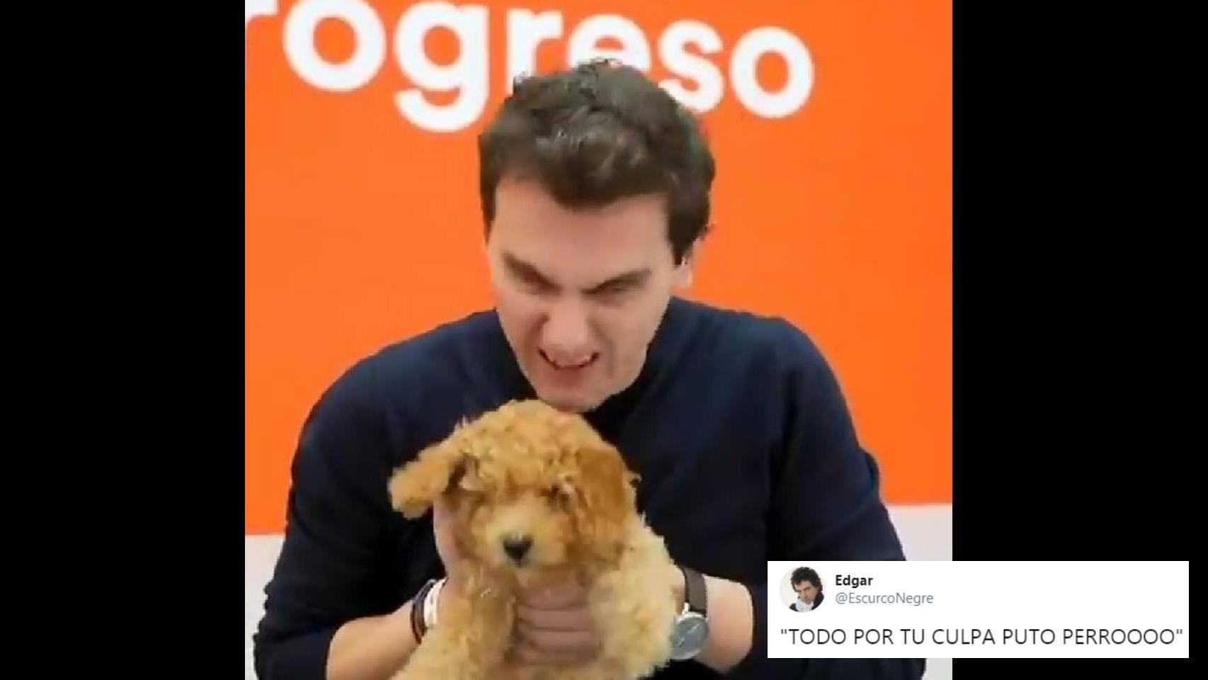 Lucas, el gran perdedor de las elecciones.