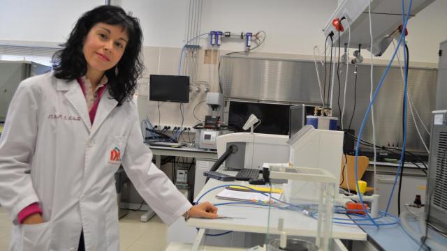 La investigadora María Luz Sánchez Silva.