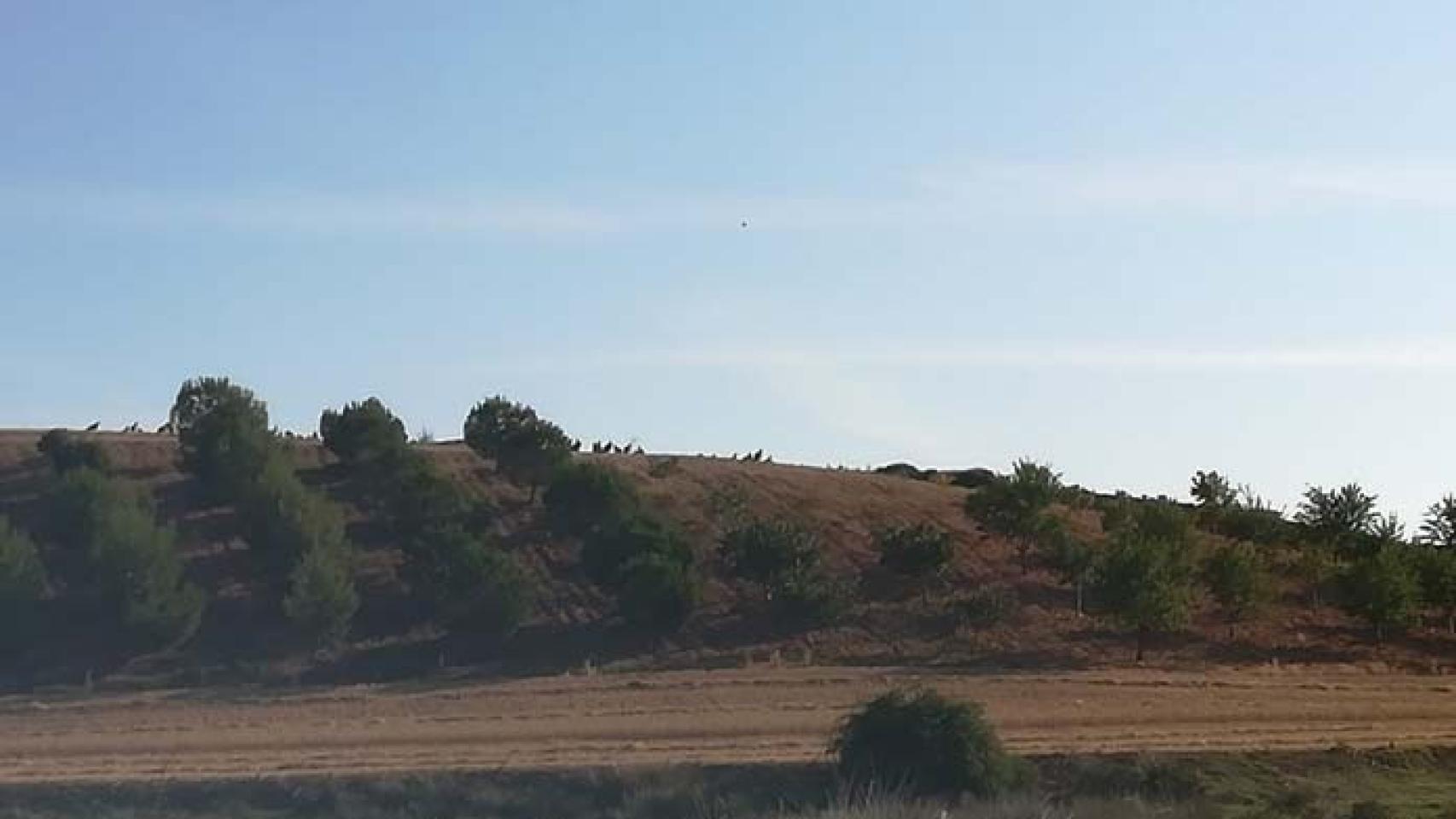 Castilla y León