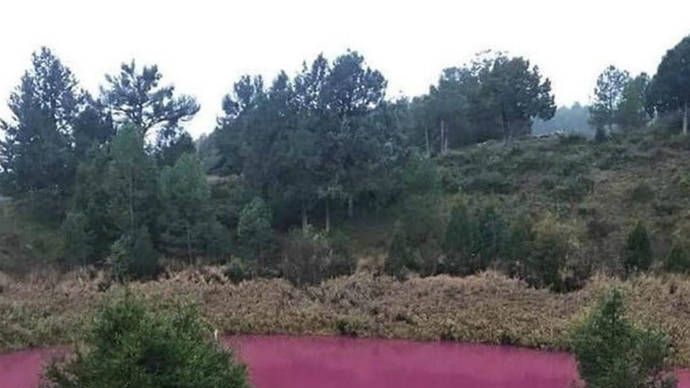 La laguna de Cañada del Hoyo hace justamente un año