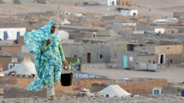 Una mujer camina junto a un campo de Tinduf.
