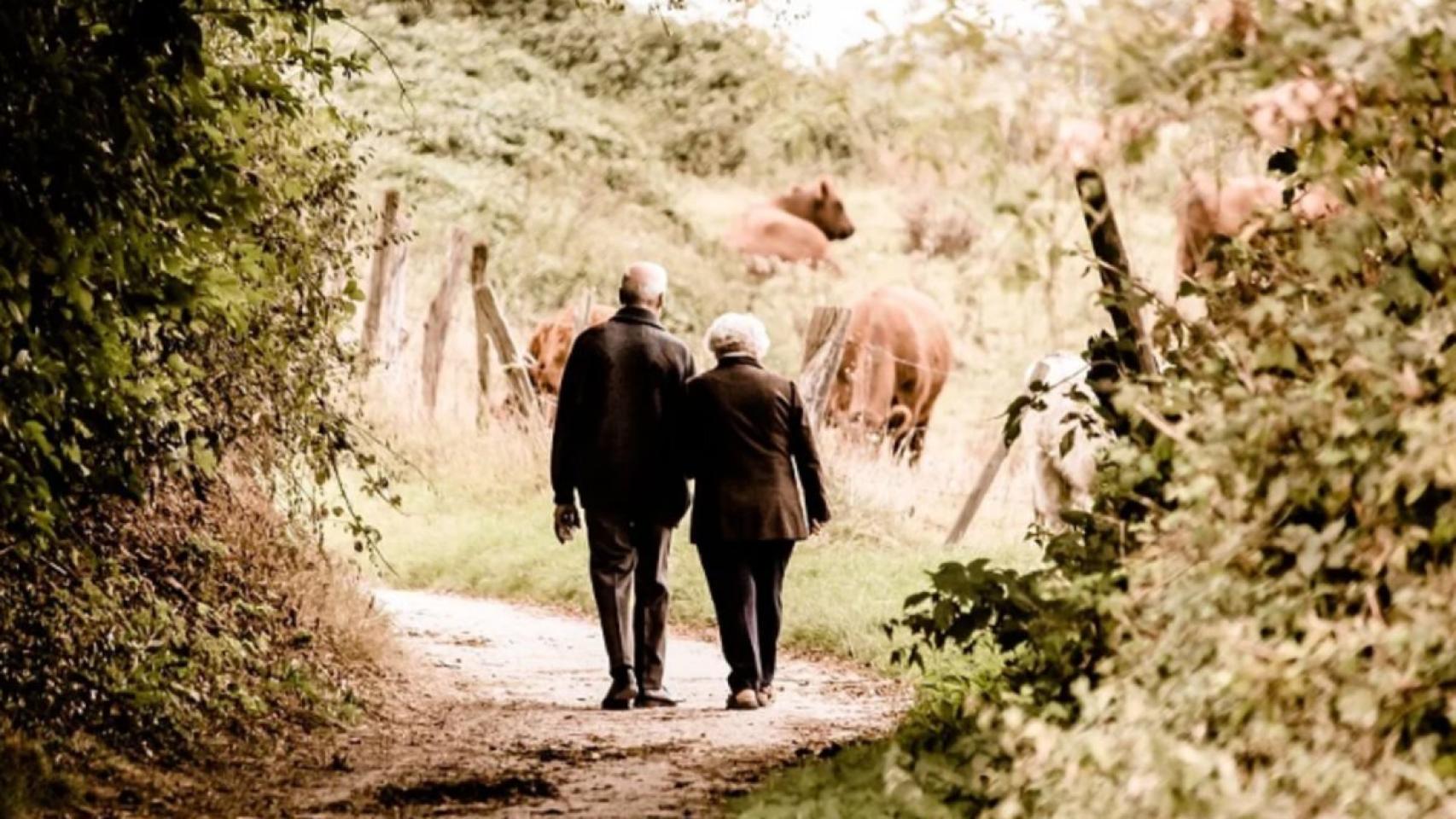jubilados-camino-pixabay