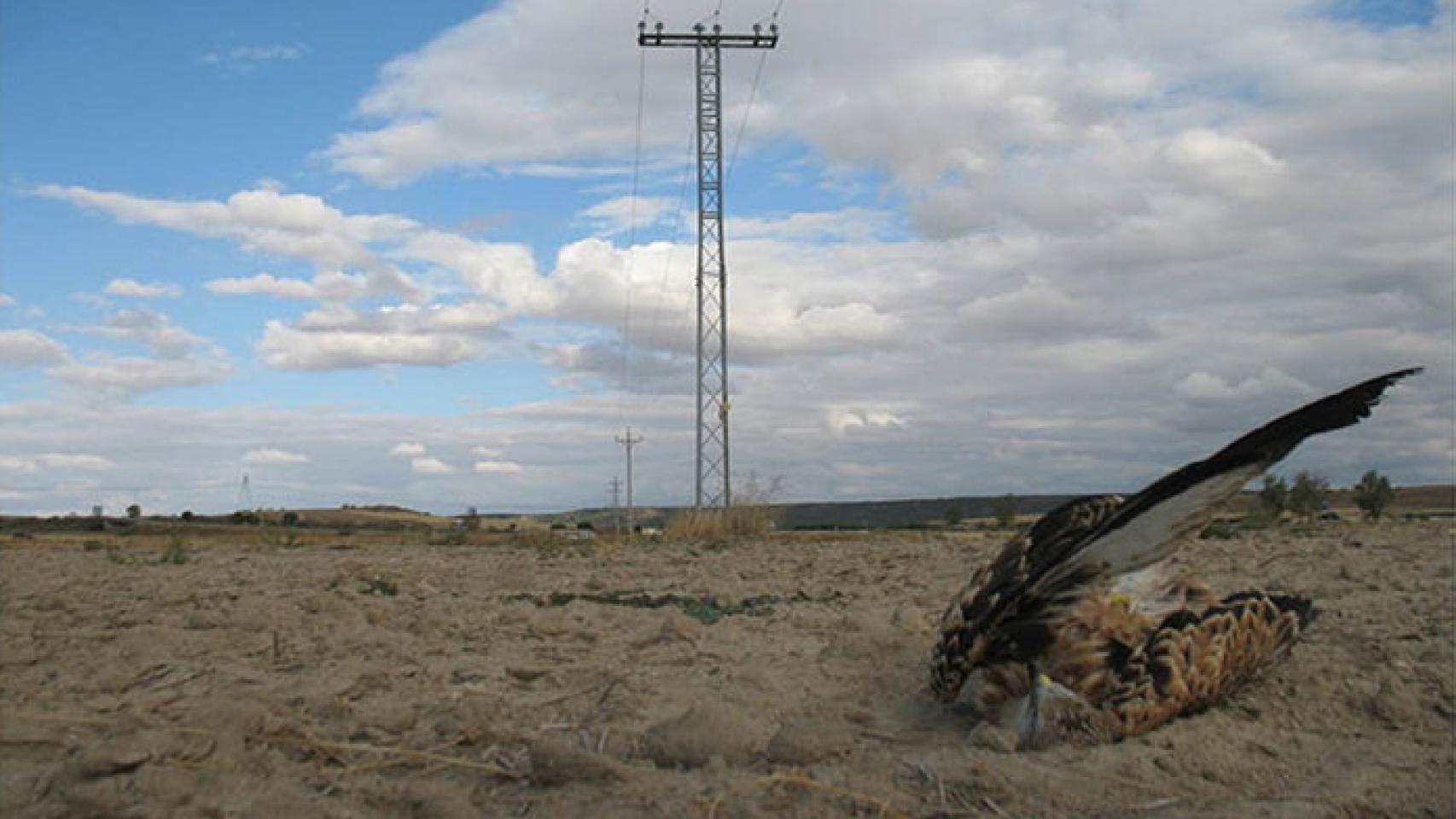 Castilla y León