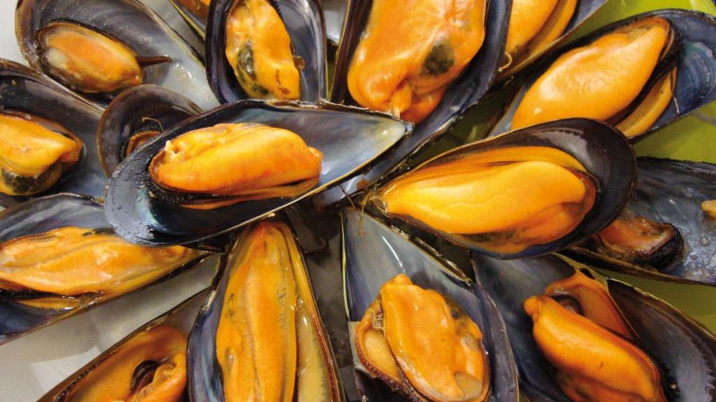 Mejillones.