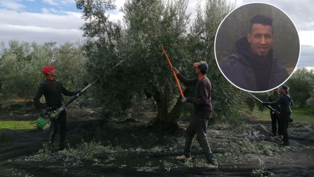 Saíd Oulella en uno de los olivares donde trabajaba.