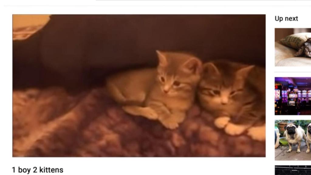 El vídeo que originó todo.