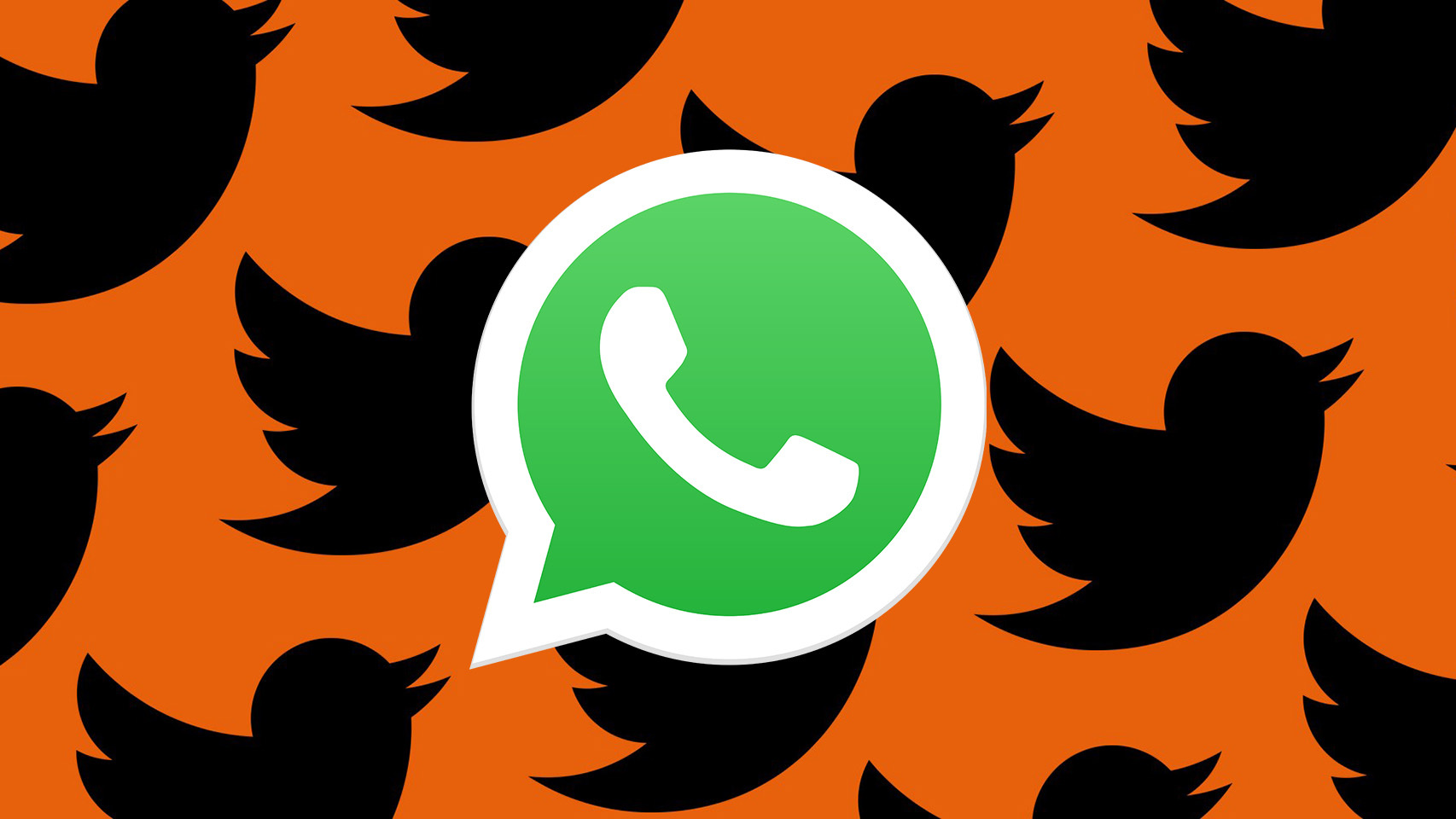 WhatsApp y Twitter.