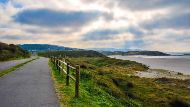 Coronavirus: Arteixo enviará a los domicilios de sus vecinos más de 52.000 mascarillas