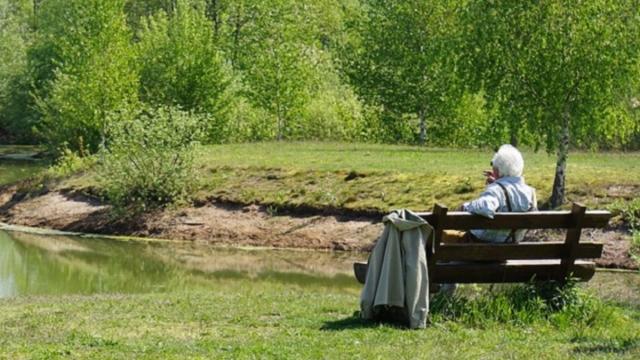 Un jubilado en un día de campo.