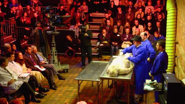 Un profesor haciendo una autopsia en una clase de Medicina.