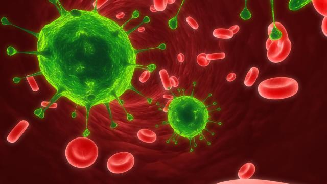 Recreación de un tumor expandiéndose.