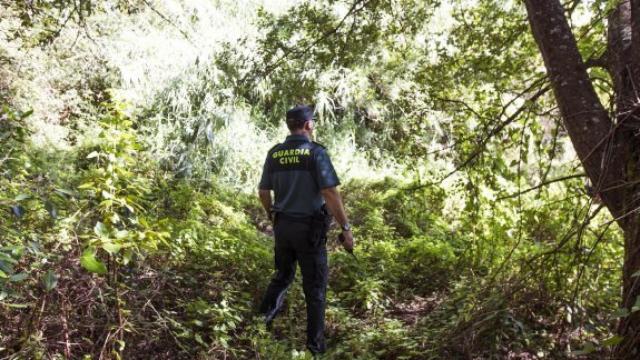 Los hechos se produjeron en un paraje de Monforte de Lemos.