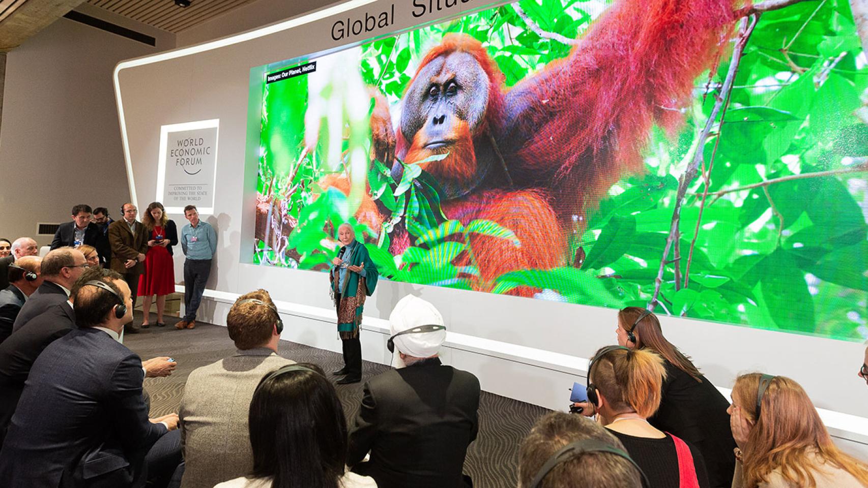La científica Jane Goodall se dirige a un grupo de asistentes al último Foro de Davos.