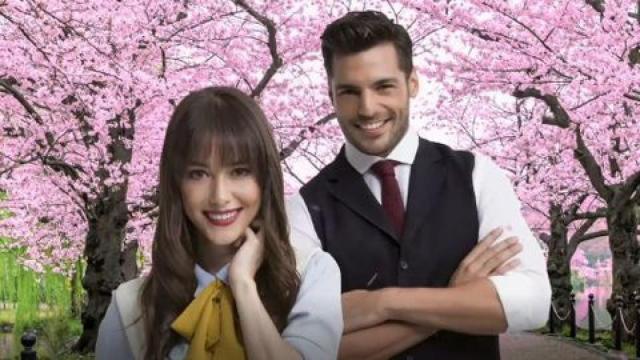 Protagonistas de 'Amar es primavera'
