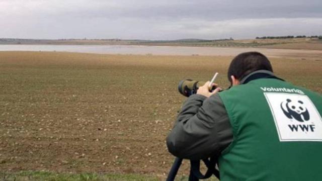 Estado de las lagunas de Villafranca