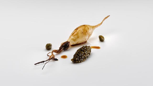 10_nerua