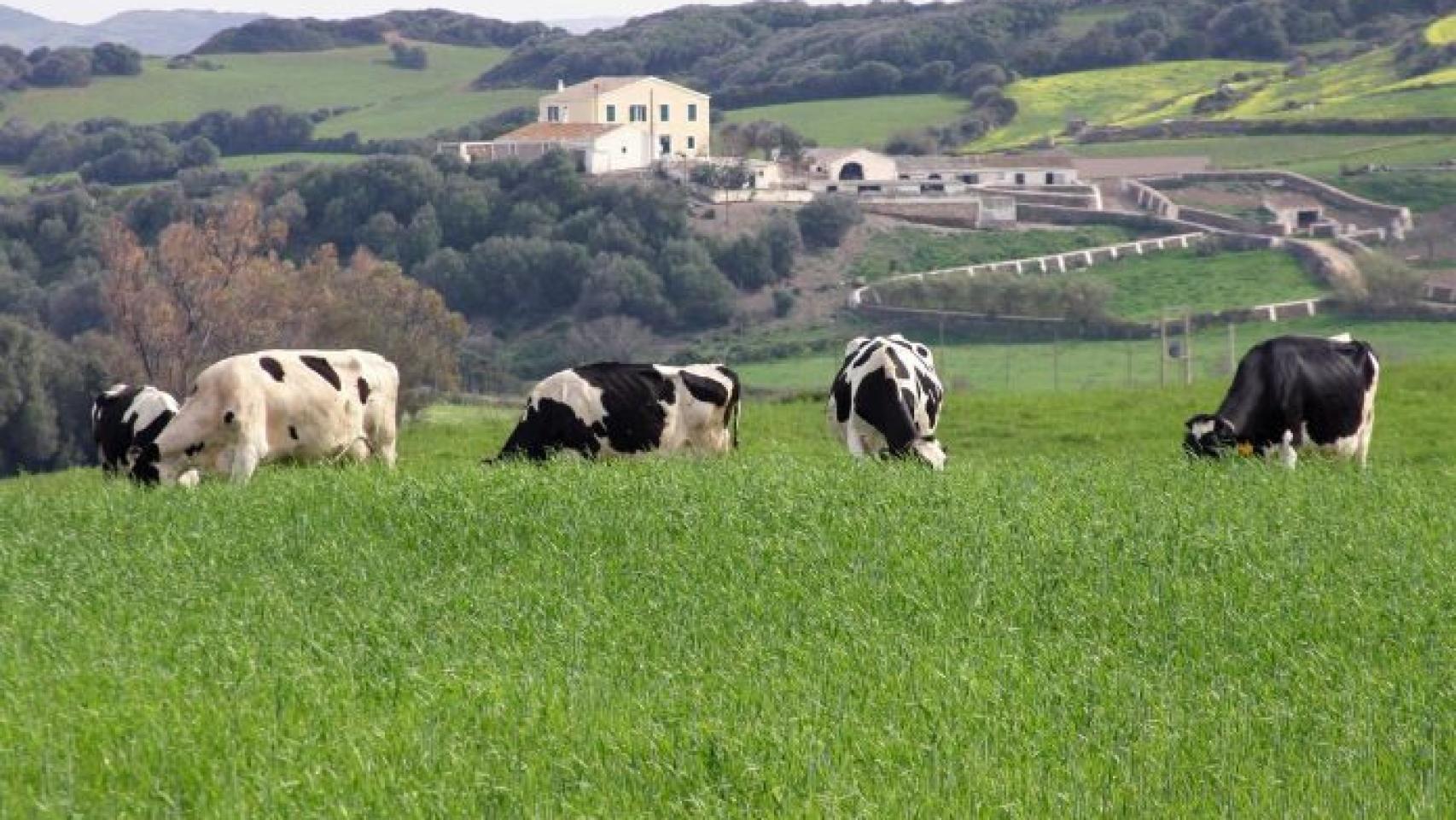 Castilla y León