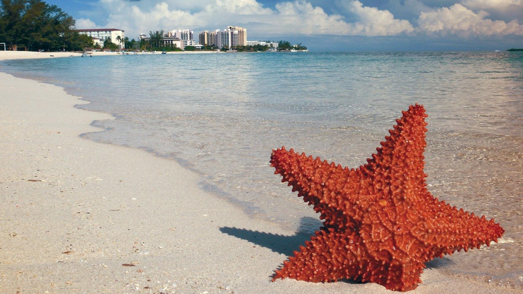 Las paradisíacas playas de Bahamas.