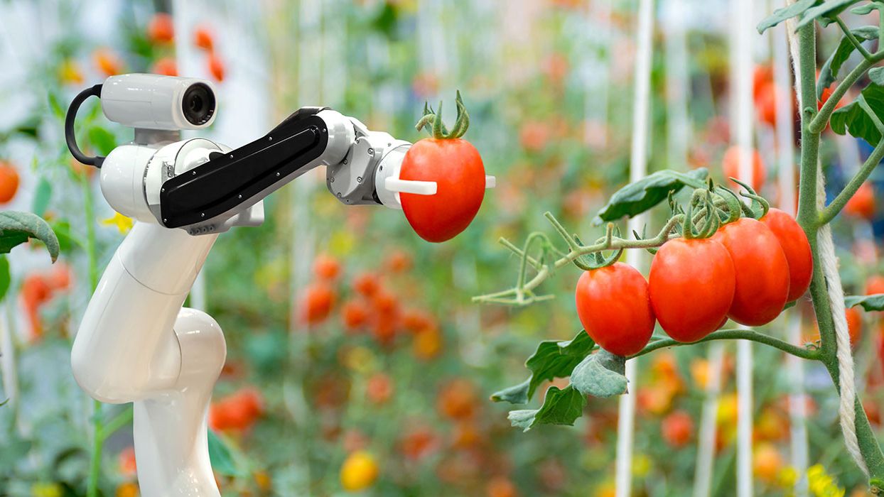 No habrá campo sin innovación