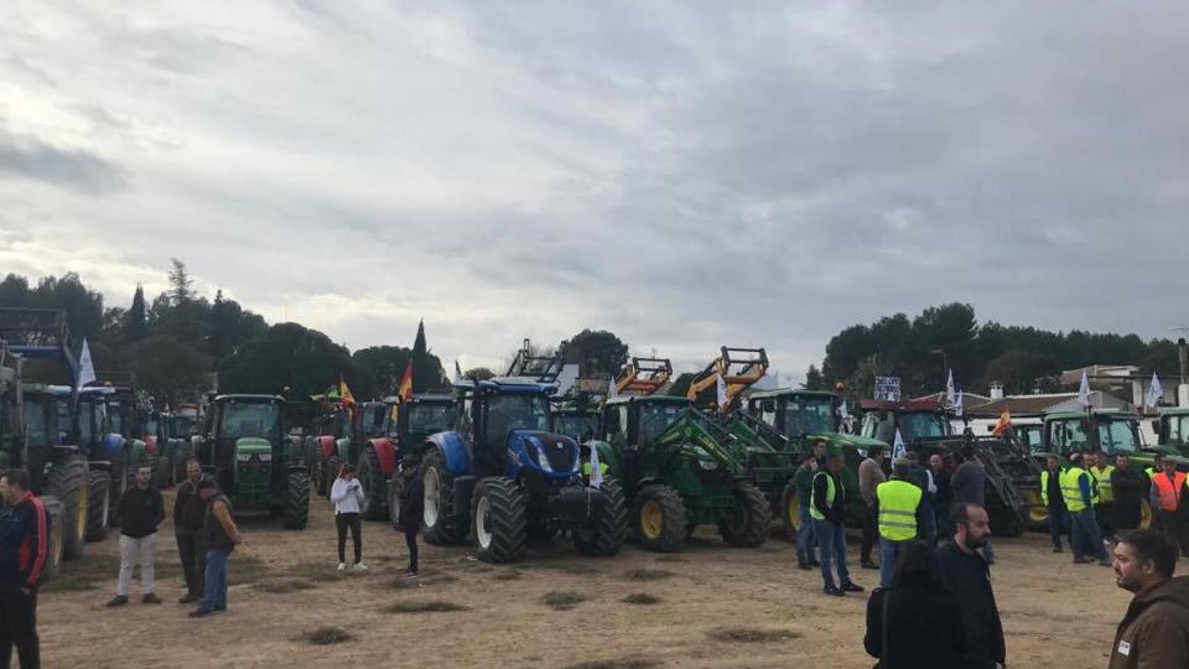 Agricultores y ganaderos protestan en Córdoba y Málaga.