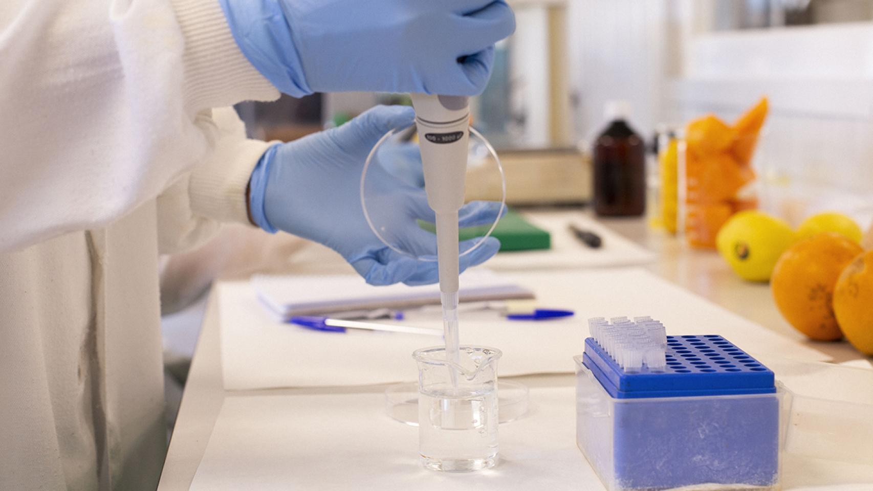 La empresa de Valladolid Naturae multiplica por 10 la vida útil del alimento.