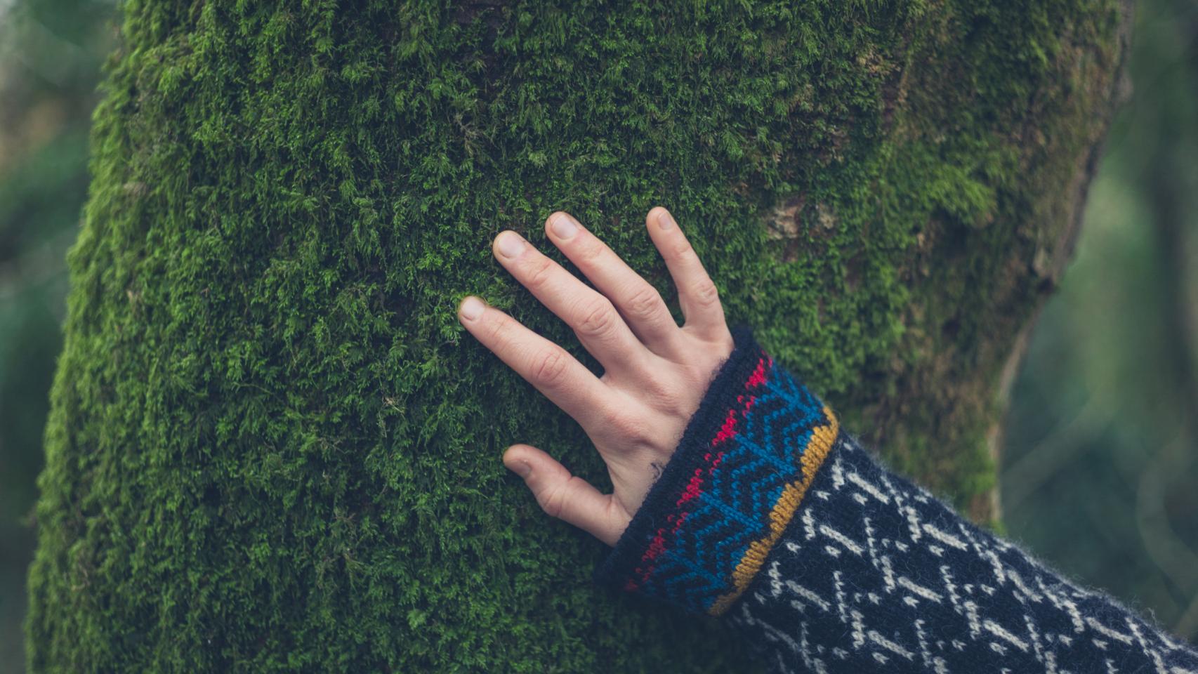 Día Mundial de la Naturaleza 2020: la importancia de esta celebración